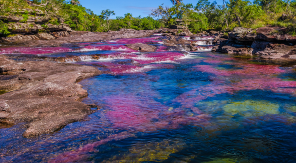 caño cristales