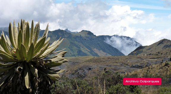 Parque nacional de los nevados