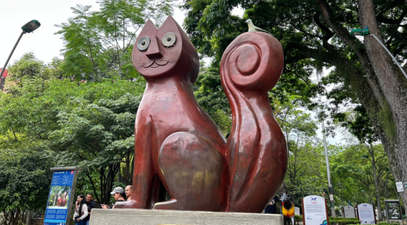 parque de los gatos