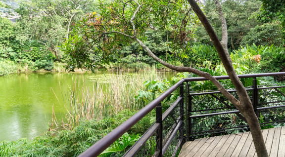 Jardín Botánico Medellín