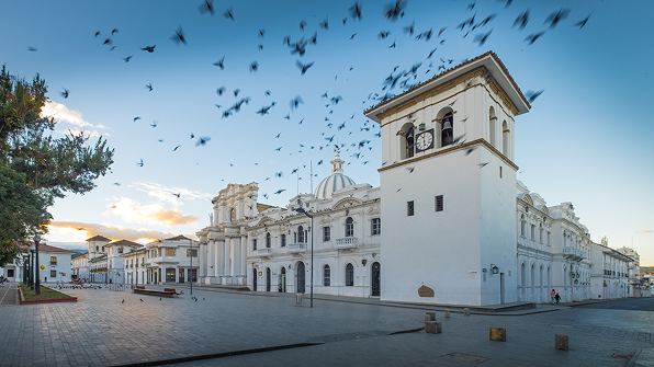 Vuelos popayan