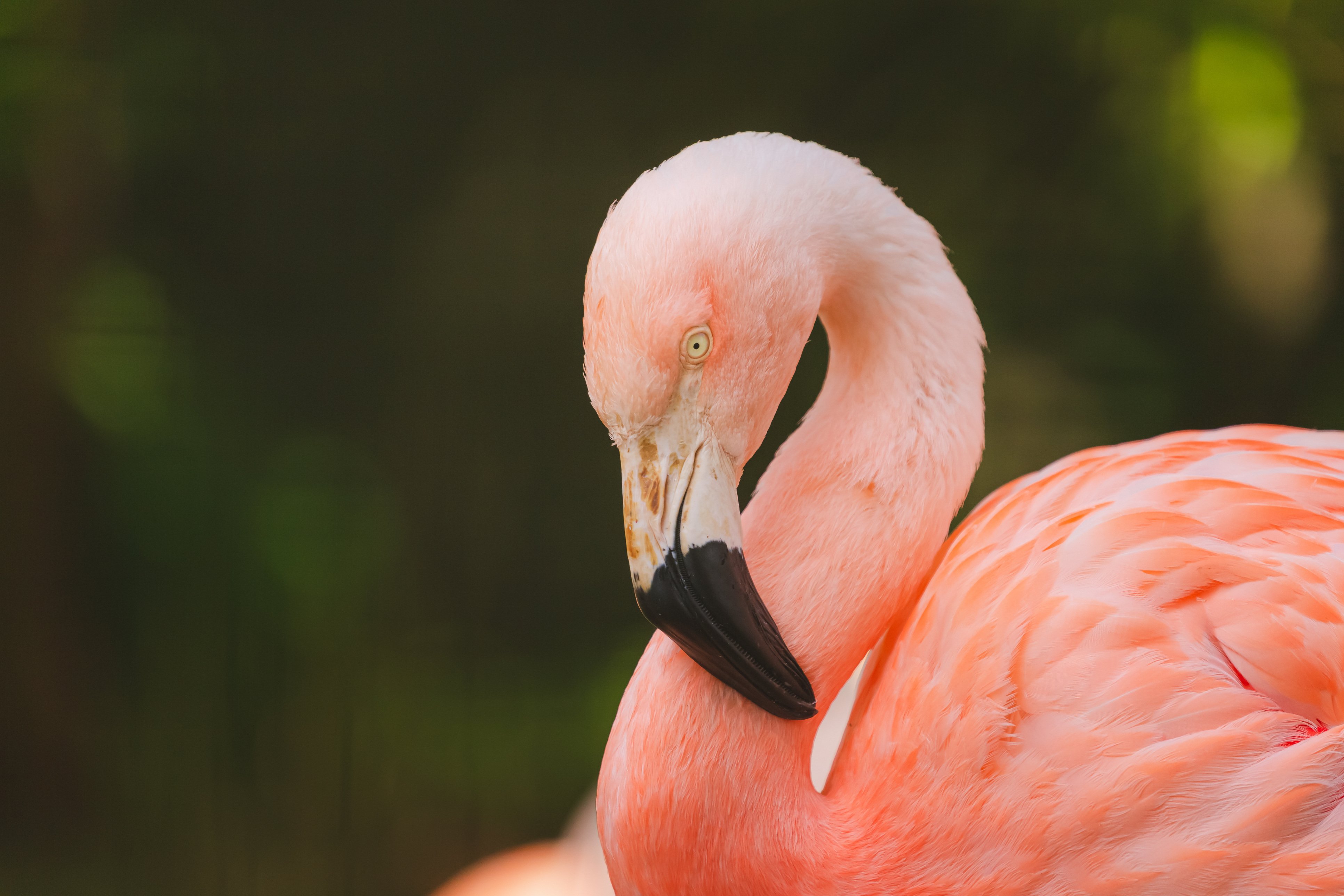  zoológico en barranquilla