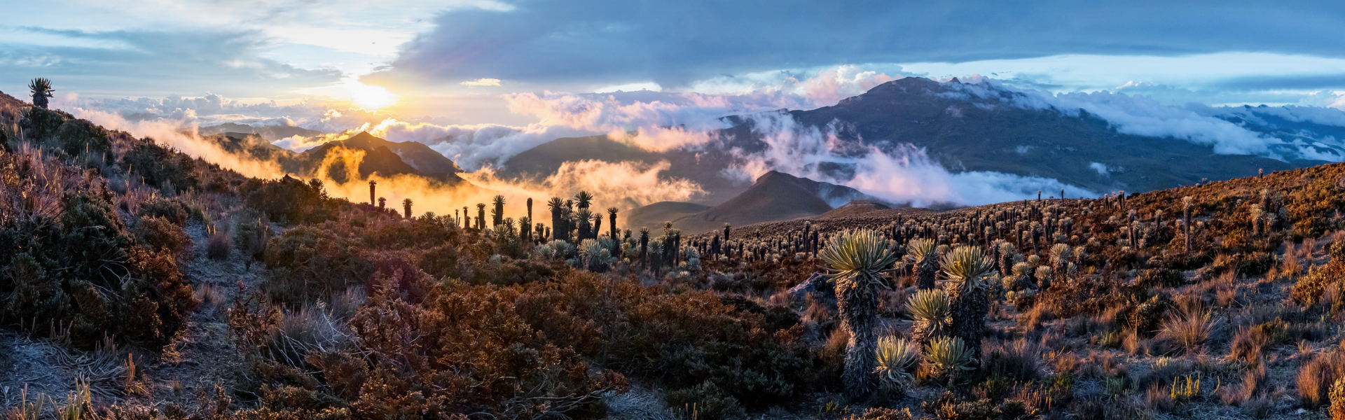 Parque Nacional Los Nevados