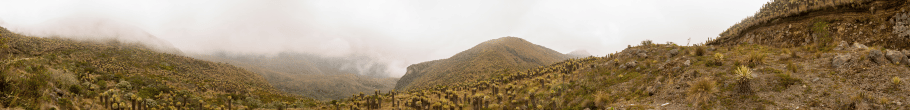 Parque Nacional Los Nevados